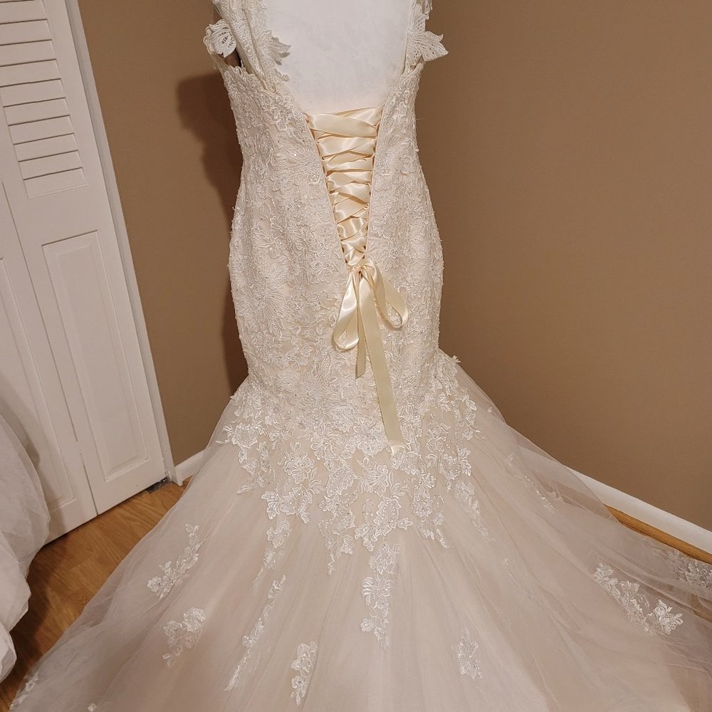 Wedding Dress Size 14 Pink Champagne - Picture 8 of 16